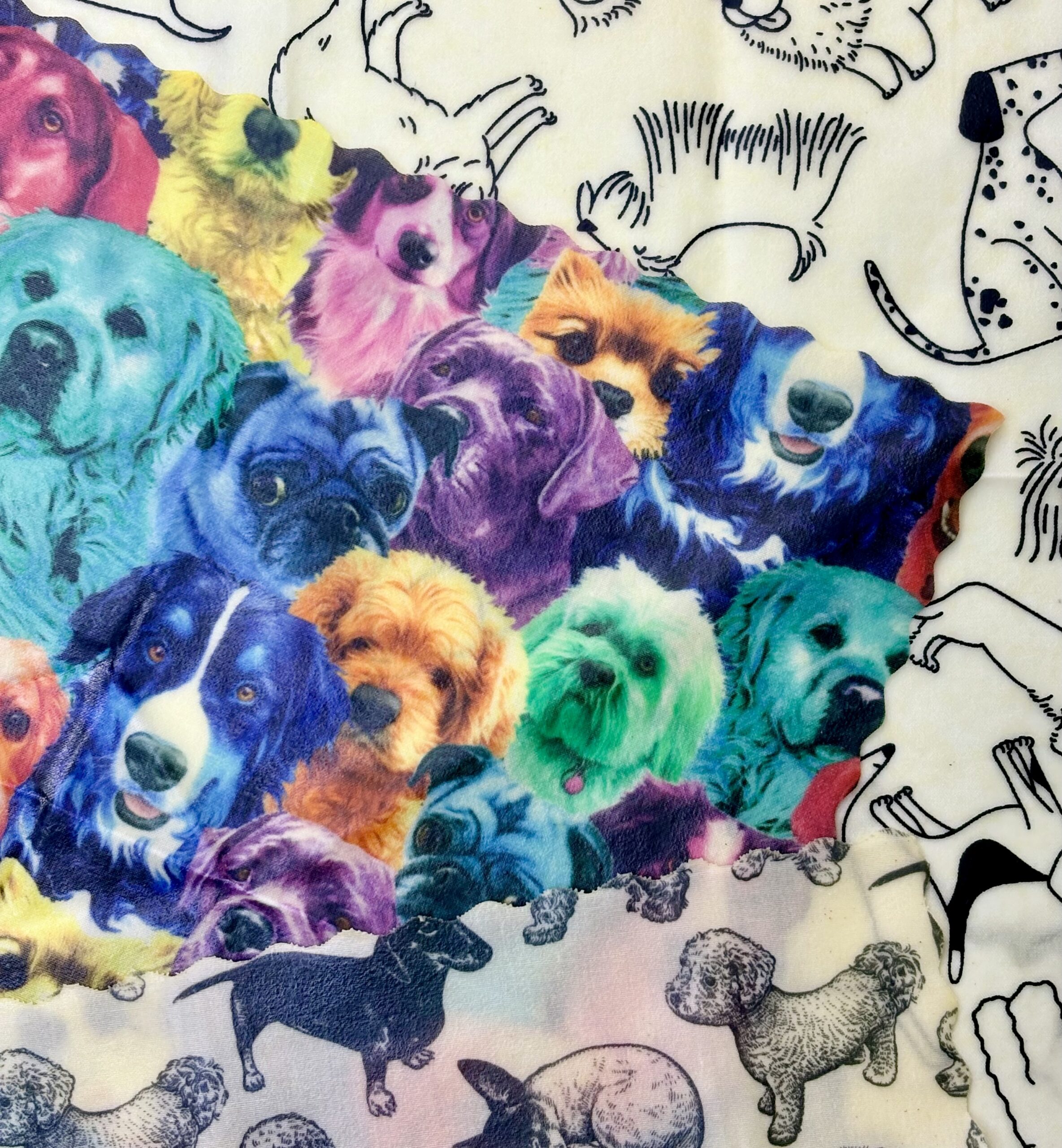 LapaDuu Vahariie Koerad