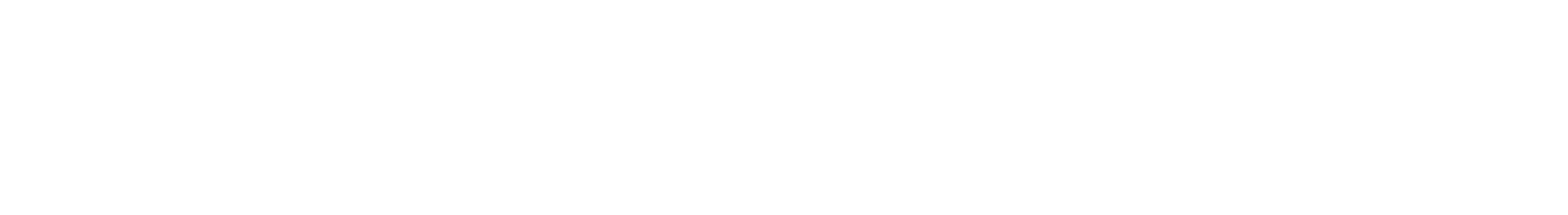 Visa She`s Next Winner 2023 LapaDuu OÜ