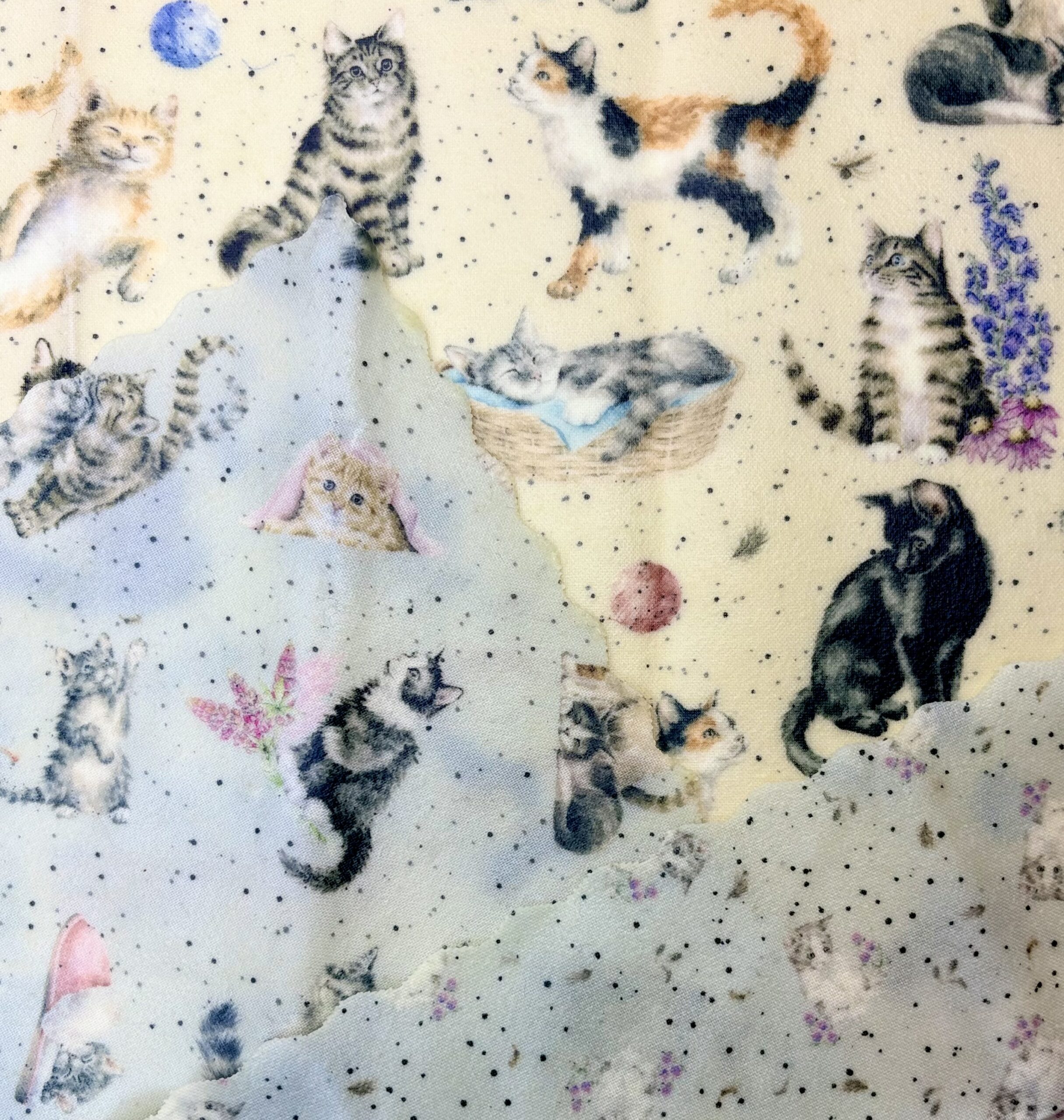 Cats Beeswax wraps
