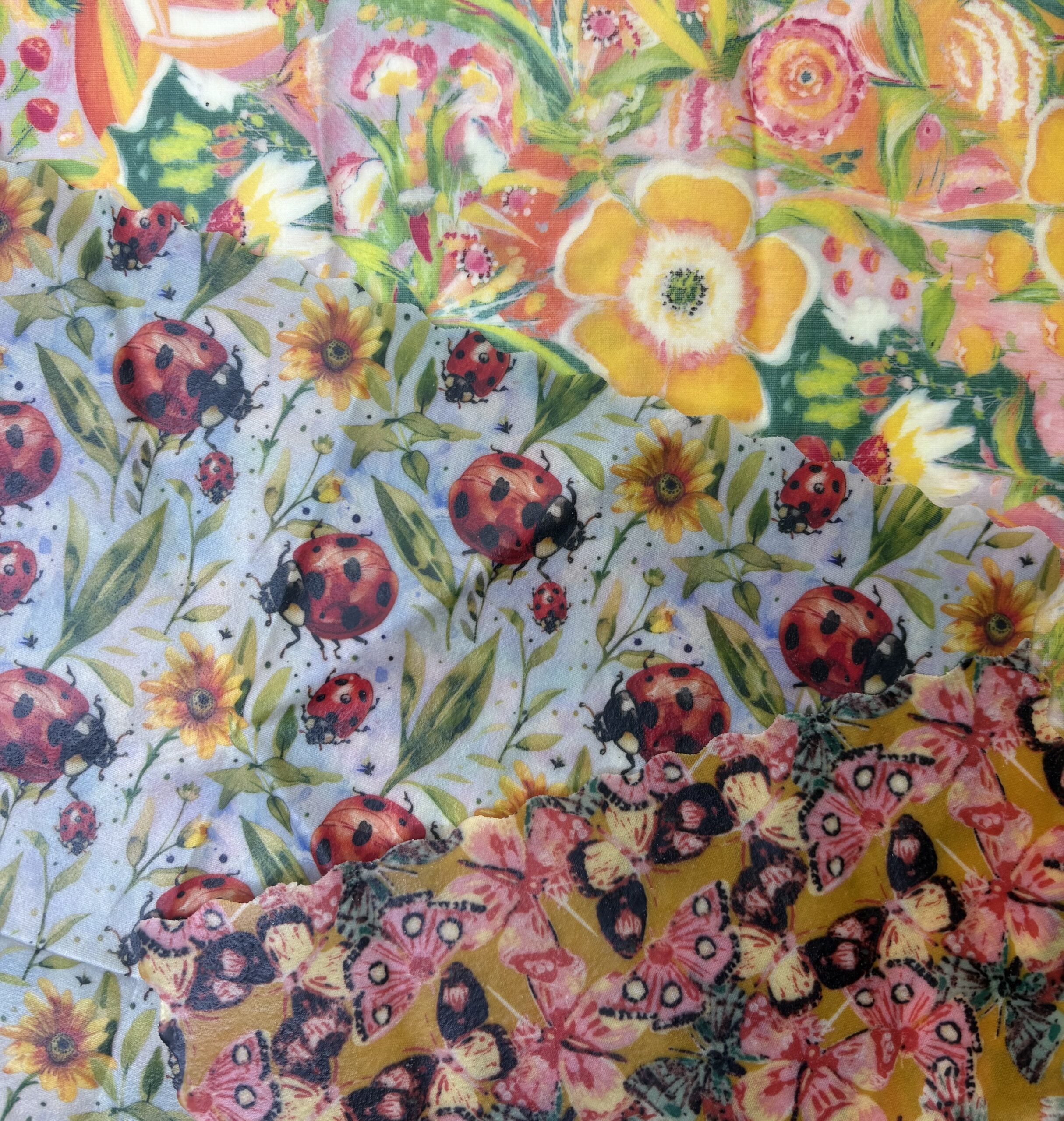 Vahariie LapaDuu Lepatriinud ja liblikad